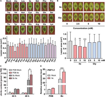 Isoleucine Enhances Plant Resistance Against Botrytis cinerea via Jasmonate Signaling Pathway